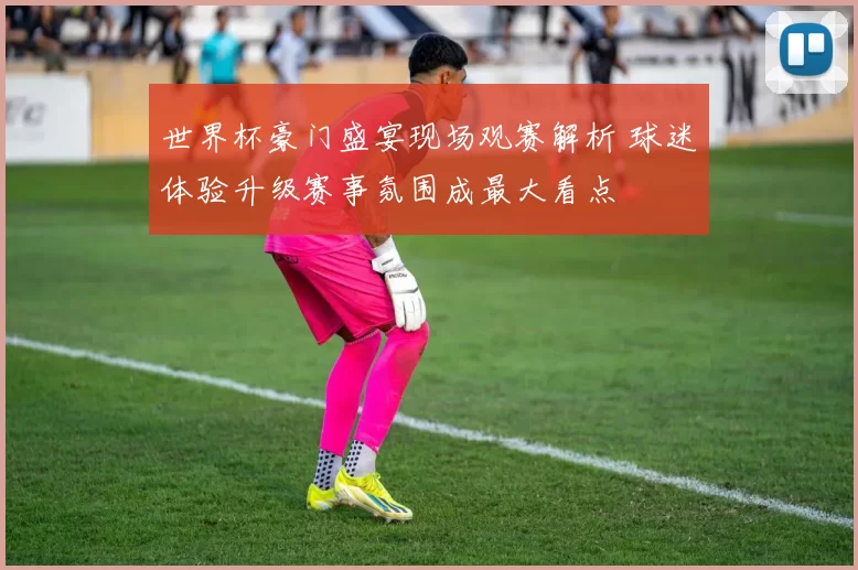 世界杯豪门盛宴现场观赛解析 球迷体验升级赛事氛围成最大看点