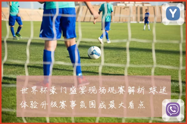 世界杯豪门盛宴现场观赛解析 球迷体验升级赛事氛围成最大看点