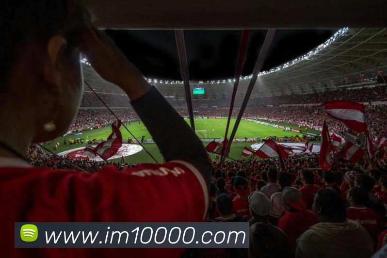 多媒体互动体验